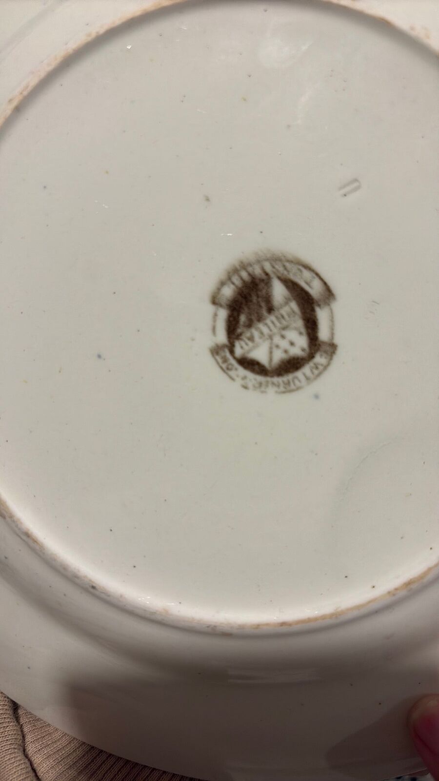 CW Turner Sons Tunstall Brown Transferware Plate Phileau Sea Scenery Birds