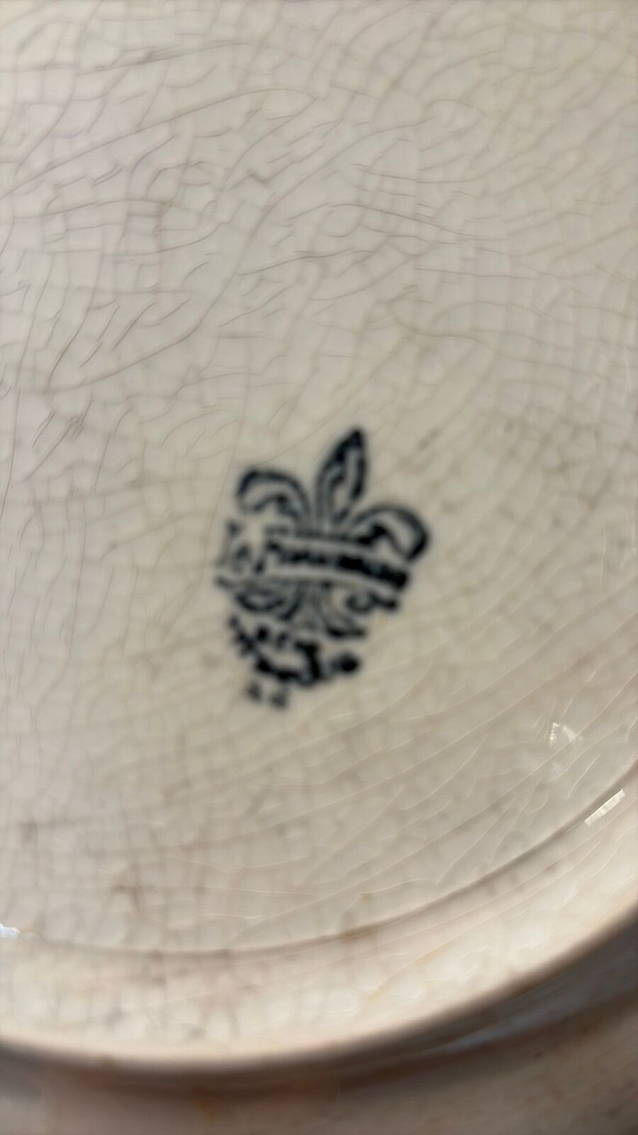 Flow blue dinner plate